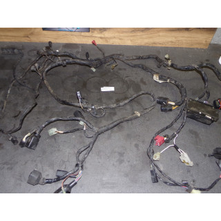 Faisceau électrique Kawasaki ZX-9R 2001