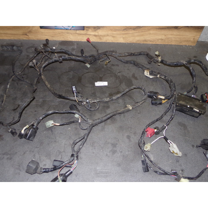 Faisceau électrique Kawasaki ZX-9R 2001