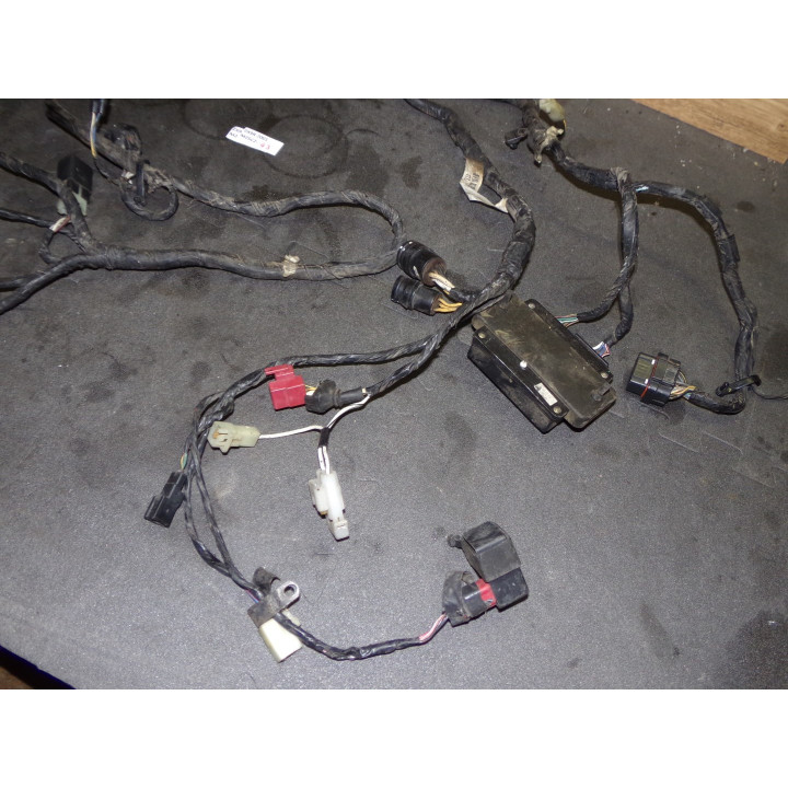 Faisceau électrique Kawasaki ZX-9R 2001