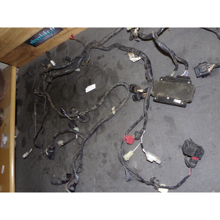 Faisceau électrique Kawasaki ZX-9R 2001