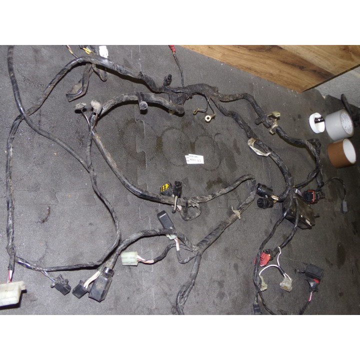 Faisceau électrique Kawasaki ZX-9R 2001