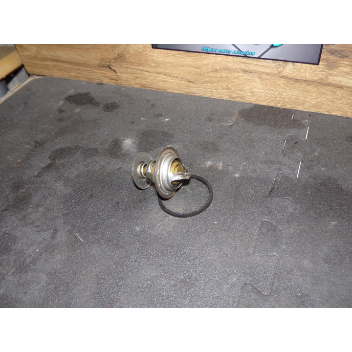 Calorstat BMW K 1100 LT 1993