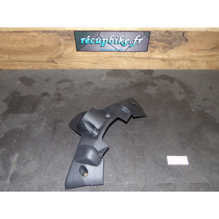 Entourage neiman  Ducati Panigale 1199 2016