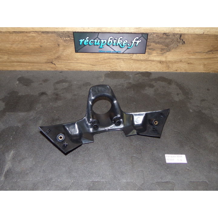 Entourage neiman  Ducati Panigale 1199 2016