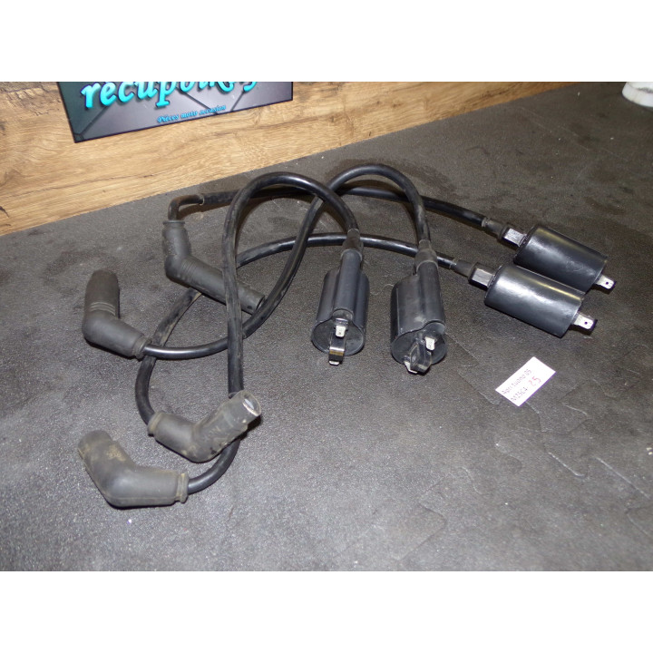 bobines-allumage-aprilia-tuono-2005