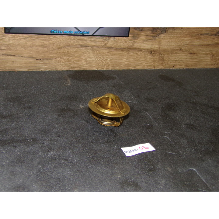 Calorstat Kawasaki ZZR 600 1998