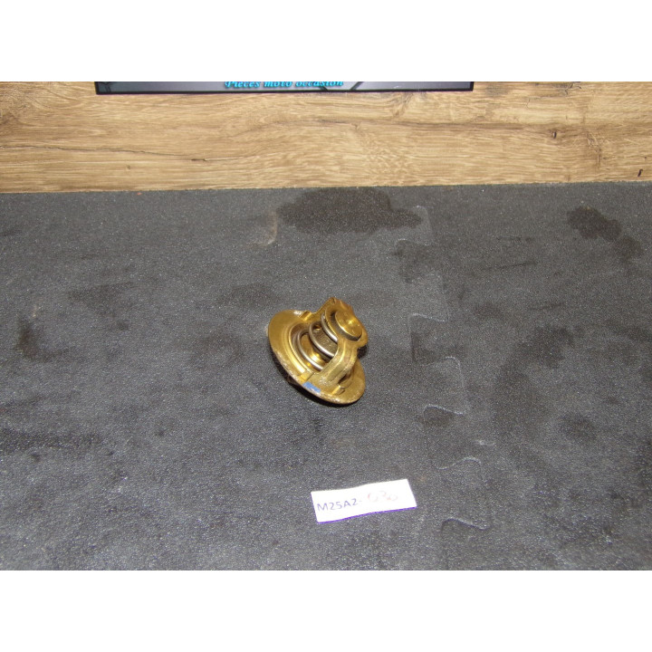 Calorstat Kawasaki ZZR 600 1998