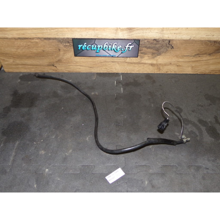 Câble de masse Suzuki 1000 SV S 2004