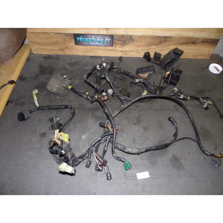 Faisceau électrique Suzuki 1000 SV S 2004