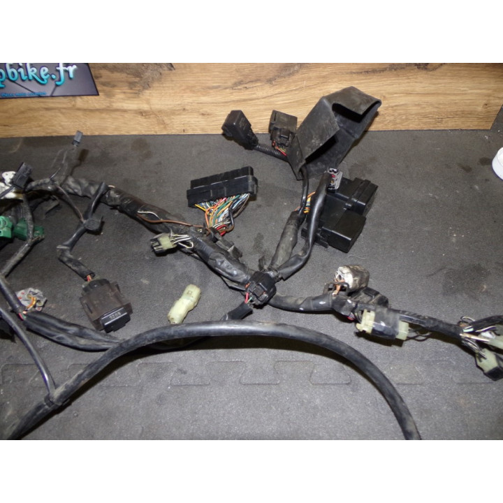 Faisceau électrique Suzuki 1000 SV S 2004