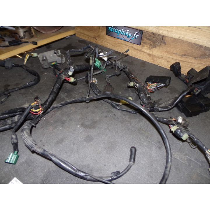 Faisceau électrique Suzuki 1000 SV S 2004