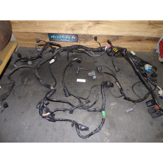 Faisceau électrique Kawasaki 750 Z 2005