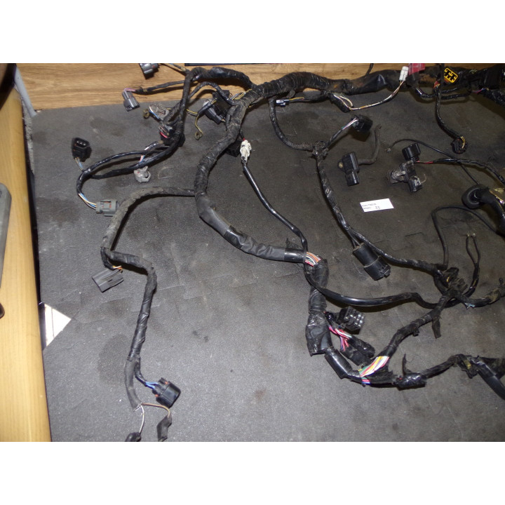 Faisceau électrique Kawasaki 750 Z 2005