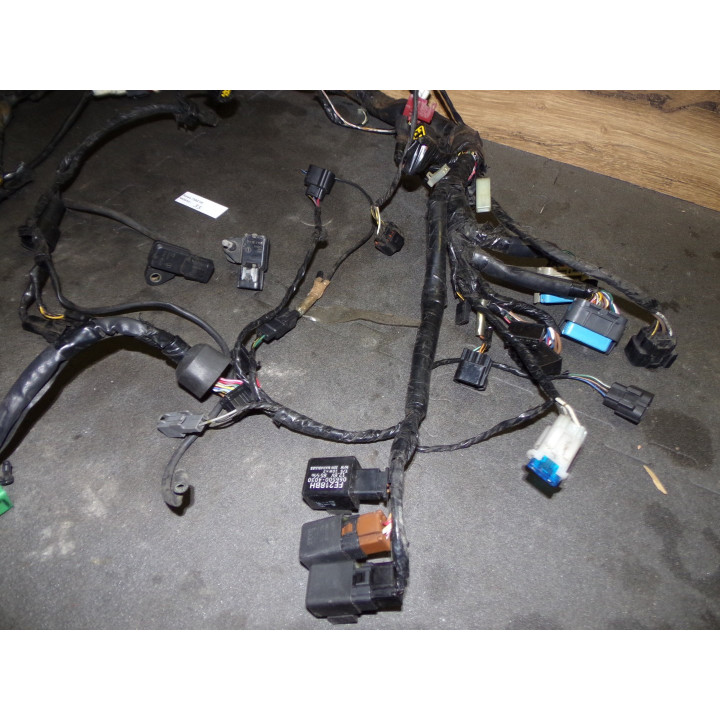 Faisceau électrique Kawasaki 750 Z 2005