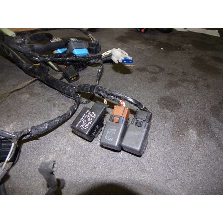 Faisceau électrique Kawasaki 750 Z 2005