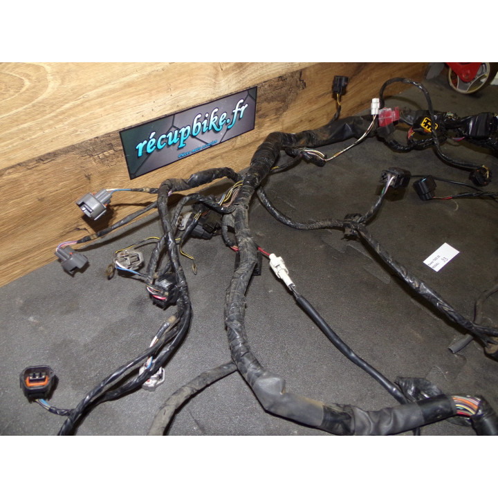 Faisceau électrique Kawasaki 750 Z 2005