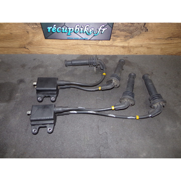 Bobines allumage Triumph 1200 Trophy 2000