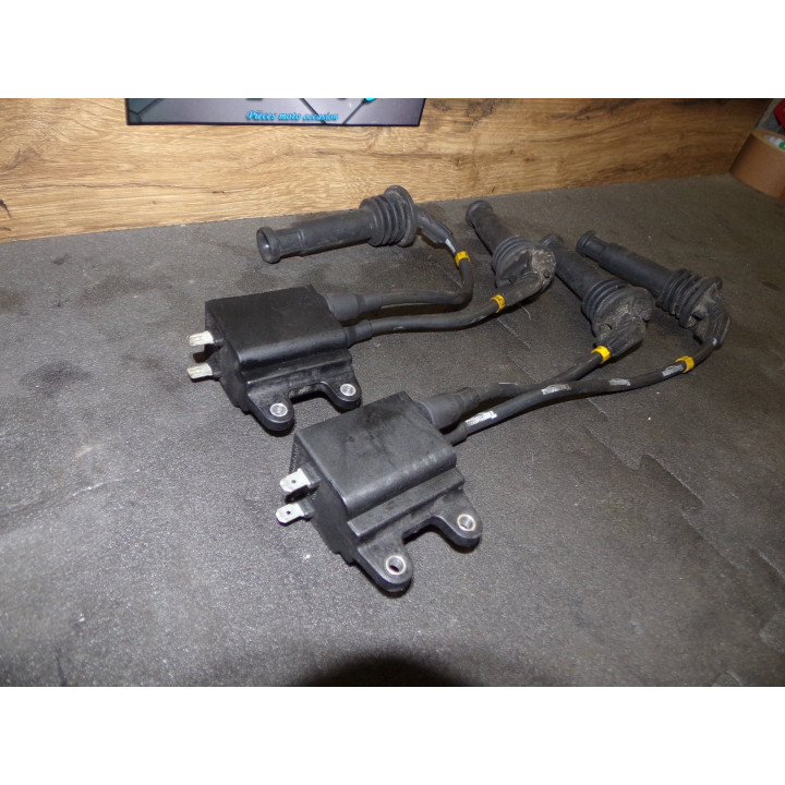 Bobines allumage Triumph 1200 Trophy 2000