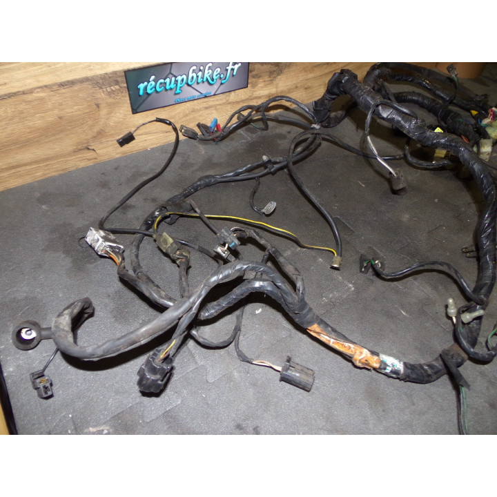Faisceau électrique Triumph 1200 Trophy 2000