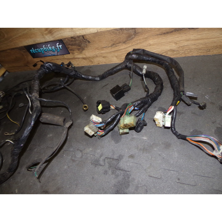 Faisceau électrique Triumph 1200 Trophy 2000