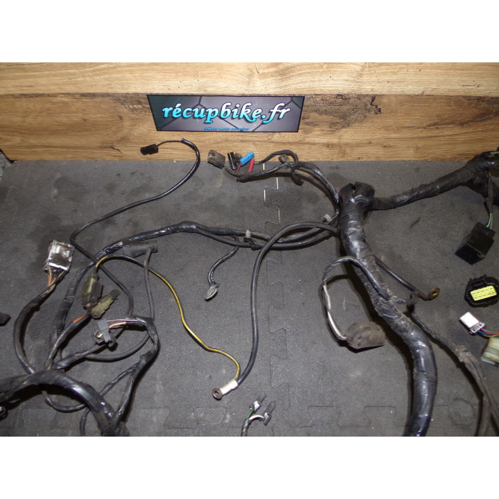 Faisceau électrique Triumph 1200 Trophy 2000