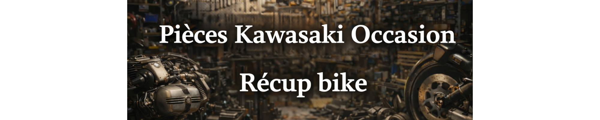 Pièces Kawasaki d’Occasion – Toutes Gammes | RecupBike